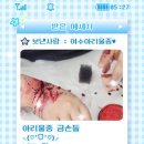 여수아리울중학교 이미지