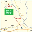 팜누리 이미지