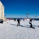 20/21년 겨울 하이원 리조트 스키장을 이용하는 가장 쉽고 저렴한 방법은 모아레벤트 하이원버스패키지를 이용 하는 겁니다. 이미지