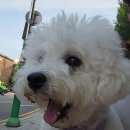 영광센터 3호 이미지