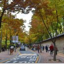 덕수 이미지