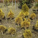 안성리 마을회관 이미지