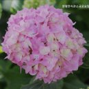 안식관소규모요양센터 이미지