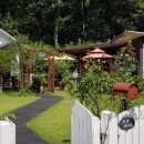 카페하애 이미지