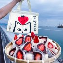 통제영5길 이미지