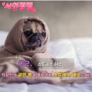 서연점핑다이어트