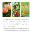 노영순농장 네이버블로그