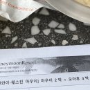 포시즌항공여행사 이미지