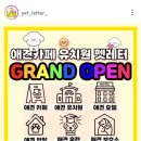 애견카페 애견유치원 펫레터 네이버블로그