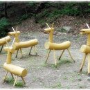 숲속유치원 이미지