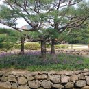 김해수로왕릉 이미지