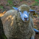 소리공원 이미지