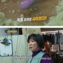 하늘소리목장 이미지