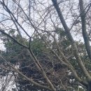 옛날팥죽 이미지