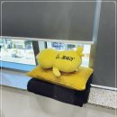 닥터뉴셀의원 | 피부 재생을 위한 레스노베 시술의 모든 것