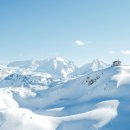 알프스식당 이미지