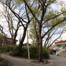 갈담2리경로당 이미지