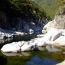 오늘은 장어 이미지