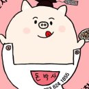 돈박사 - 강서구 | 돈박사