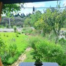 아드레이 이미지