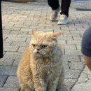 금송약국 | 해리단길 퓨전 양식 맛집 [애뜨 비스트로] 내돈내산 후기(메뉴, 예약)