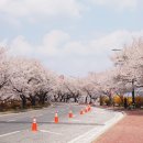 넘버25(경주터미널점) 이미지