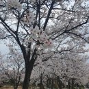 밝은미소안경원 | 칠금동 미용실 추천 헤어살롱우리에서 펌 성공한 충주 미용실 후기