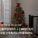베베데이즈