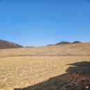 안방마을회관 이미지