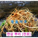 해선건강원
