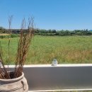 판포감동스테이 이미지