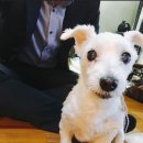 석진이네 이미지