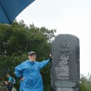 봉황봉 Daum카페