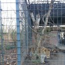 세동반점 이미지