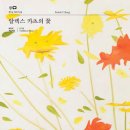 주식회사 알렉스