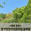 생거진천 유아숲체험원 이미지