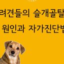 조인트 동물병원 이미지