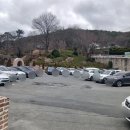 여락송정로 | 양산 동면 대형카페 느티나무의사랑 카페 방문 후기