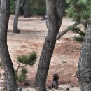 UR(강릉시)-[강릉대로313번길]-상-1 | [당일치기] 울산-강릉 당일치기 여행