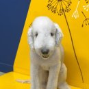 올리스(위례) 이미지