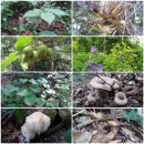 지혜농장 이미지