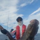 구룡포농업협동조합 이미지