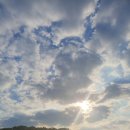 용인농장 이미지