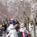 경화역 공원 1 연합뉴스