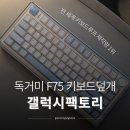 F75 | 갤럭시팩토리 키보드루프 추천 독거미 F75 아크릴 기계식 키보드덮개 후기