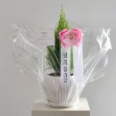 어진동국토교통부 이미지