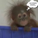 떡전골로 96-16 | 깊은우리젊은날