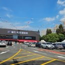 월드취업정보주 이미지