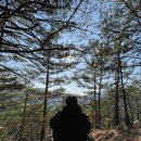 (주)빛과번쩍 이미지