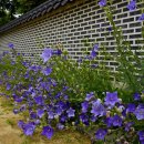 미추홀공원 다례원 이미지